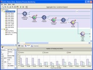 Business Process Monitoring